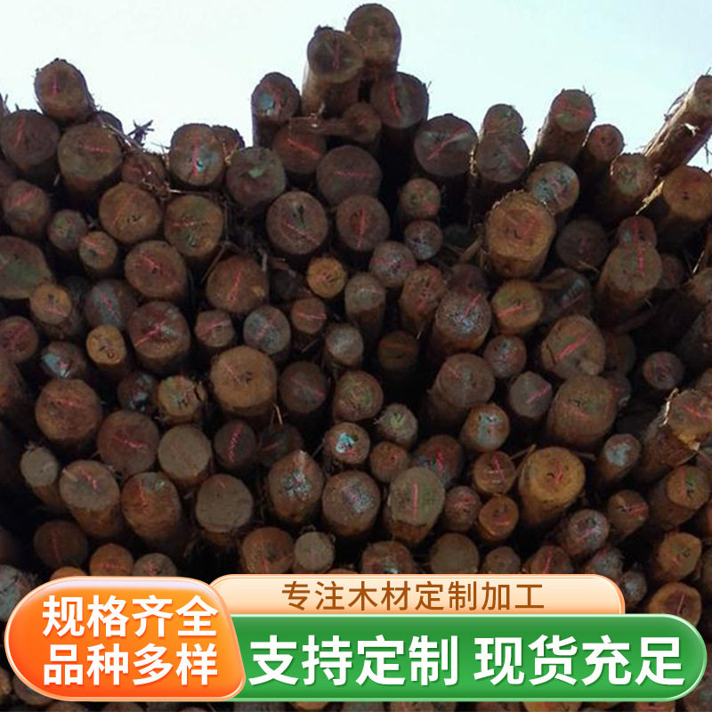 长期供应柳杉杉木桩防洪河道打桩