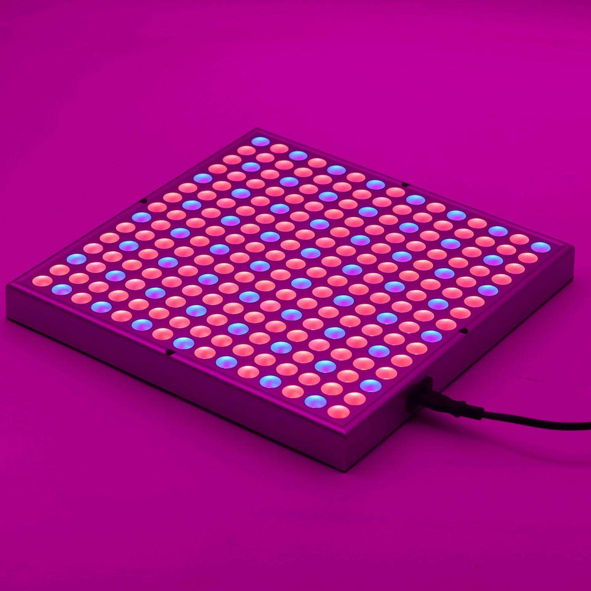 LED量子板植物补光灯 全光谱室内带透镜36w 50w 植物生长平板灯