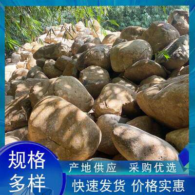 河石天然景观石河道驳岸石户外绿地草坪装饰石大颗粒河软石