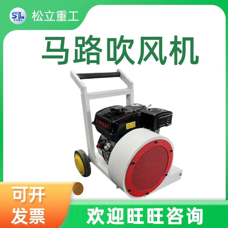 小型路面清理鼓风机冬季吹雪机吹土机械设备手推式马路吹风机
