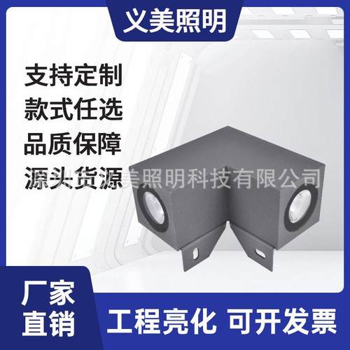 厂家直销6W9W10W16W18W户外防水LED双向直角星光灯一束光外户外