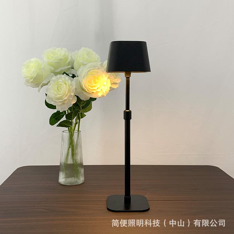 跨境新款亚马逊简约美式LED充电触摸小夜灯装饰创意卧室台灯