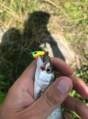 New Arrival 1PCS 6g/10g/17g/25g Metal VIB Fishing Lure Spinn