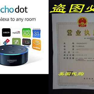 New Generation Echo 2nd Black Dot All