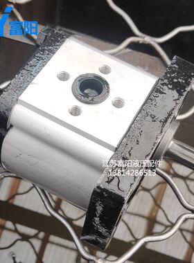 。齿轮泵 液压油泵CBN-F310L CBN-F306L CBN-F320L F314L CBN-F31