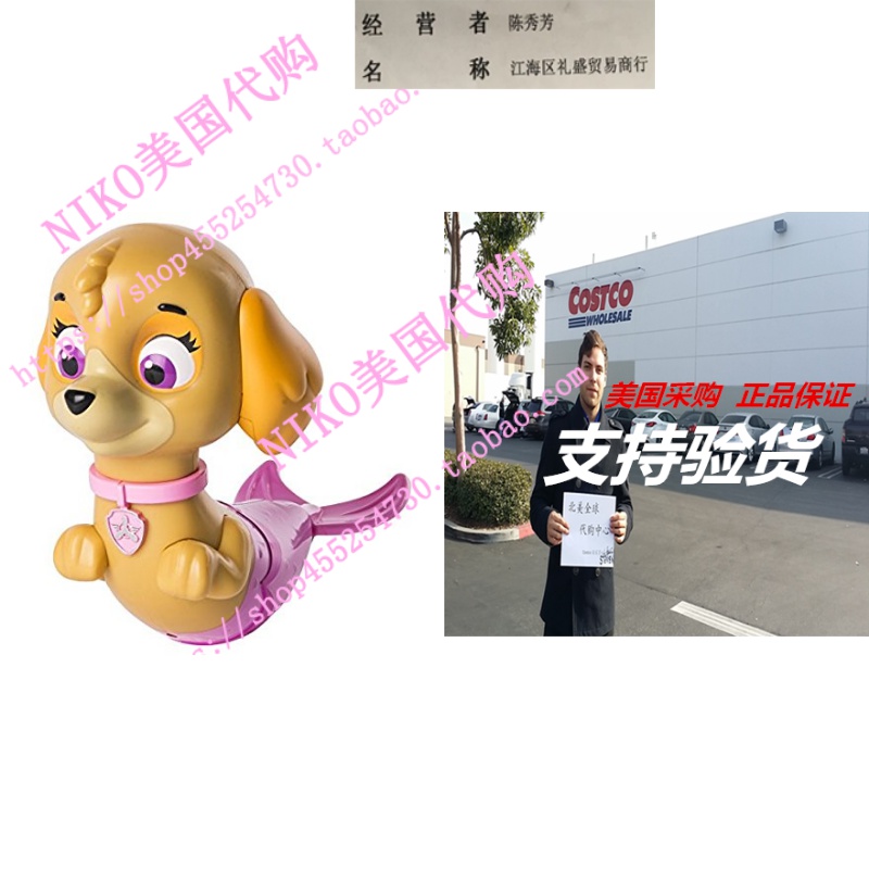 Paw Patrol - Bath Paddlin Pup - Skye Merpup