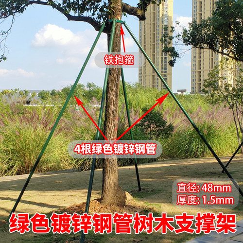 铁抱箍绿色镀锌钢管绿化固定器大树树撑支撑架树木支撑杆支树架