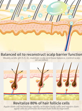 Moroccan Hair Growth Essential Oil Products Anti Hair Loss T