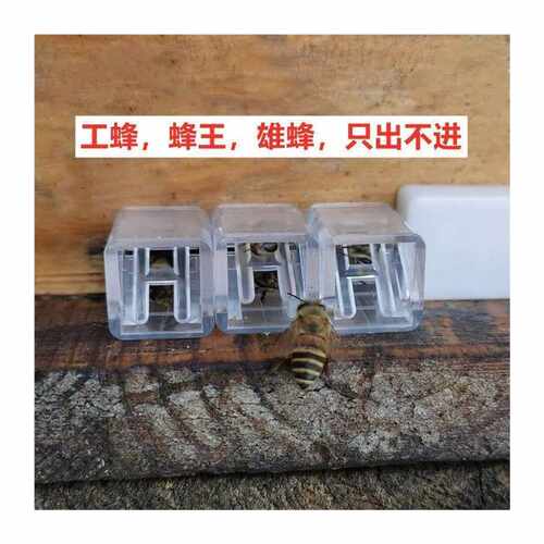 极速蜜蜂单向门工蜂只出不进DIY树洞蜂蜂王巢门野外捕蜂工具推荐