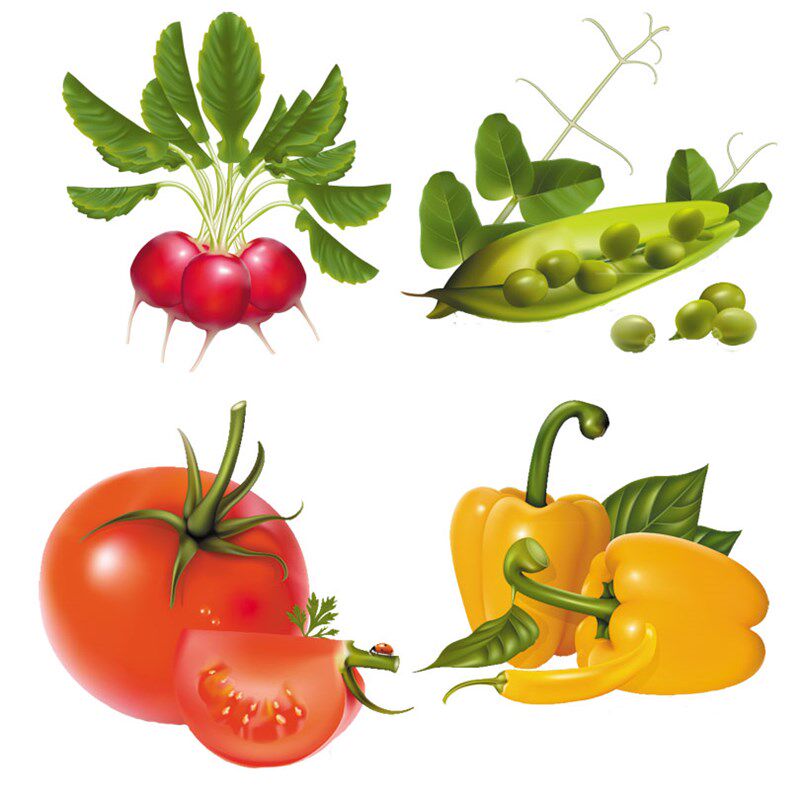 极速水果蔬菜厨房墙贴画橱柜门贴画防水瓷砖玻璃贴花餐厅冰箱贴纸