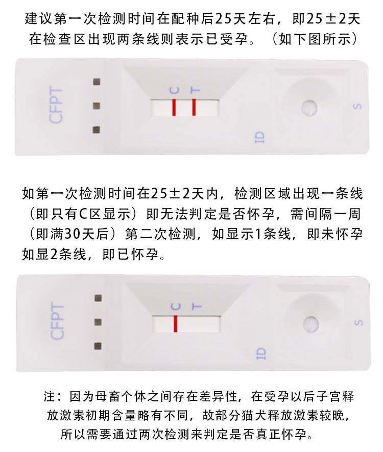 极速犬猫怀孕试纸狗狗怀孕试纸猫咪早孕检测卡宠物测试用品狗狗验