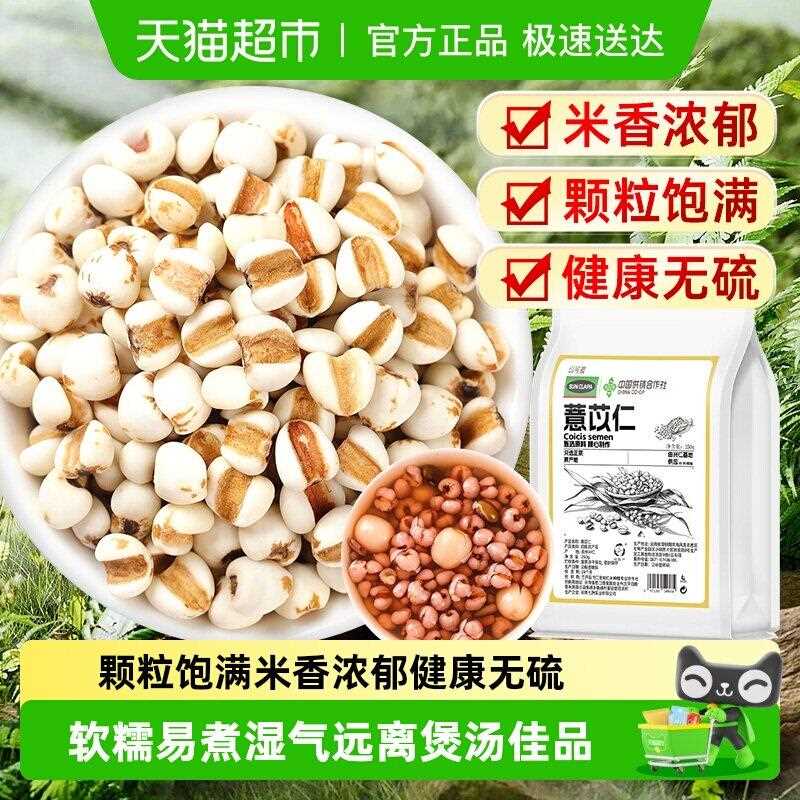 新疆包邮薏苡仁新鲜新货即食炒薏米仁搭配莲子茯苓山药百合煲汤煮