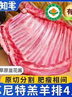 苏尼特羊肉国产肋羊排整扇内蒙古新鲜排骨烧烤半成品手把肉