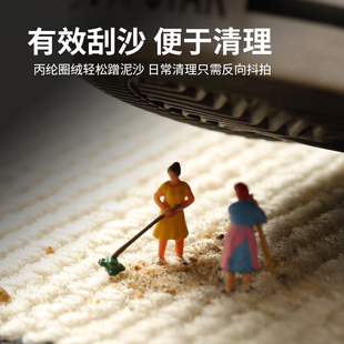 脚垫垫子家用门口门垫脚踏垫蹭土防滑垫地毯入户 入户门地垫法式