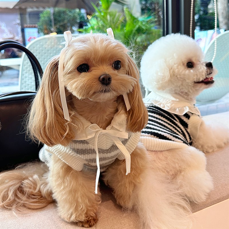 袋袋猫 秋冬条纹宠物毛衣马甲 猫咪狗狗无袖背心小型犬约克夏衣服