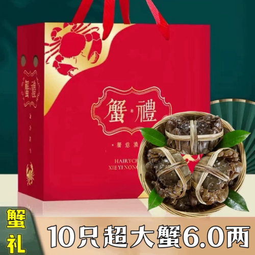 10只活蟹6.0两大闸蟹螃蟹精品全母蟹海鲜礼盒装中秋送礼顺丰包邮