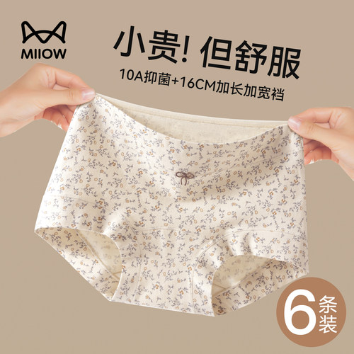 猫人平角女士内裤纯棉