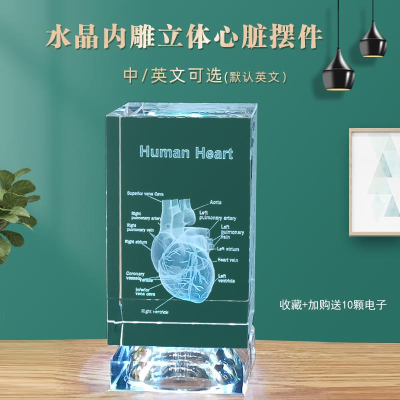 医学生礼物3d立体水晶内雕心脏中英文模型送医生研讨聚会器官摆件