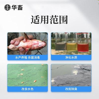 二氧化氯泡腾片水产养殖鱼塘专用净水鱼药杀菌消毒剂鱼虾池塘