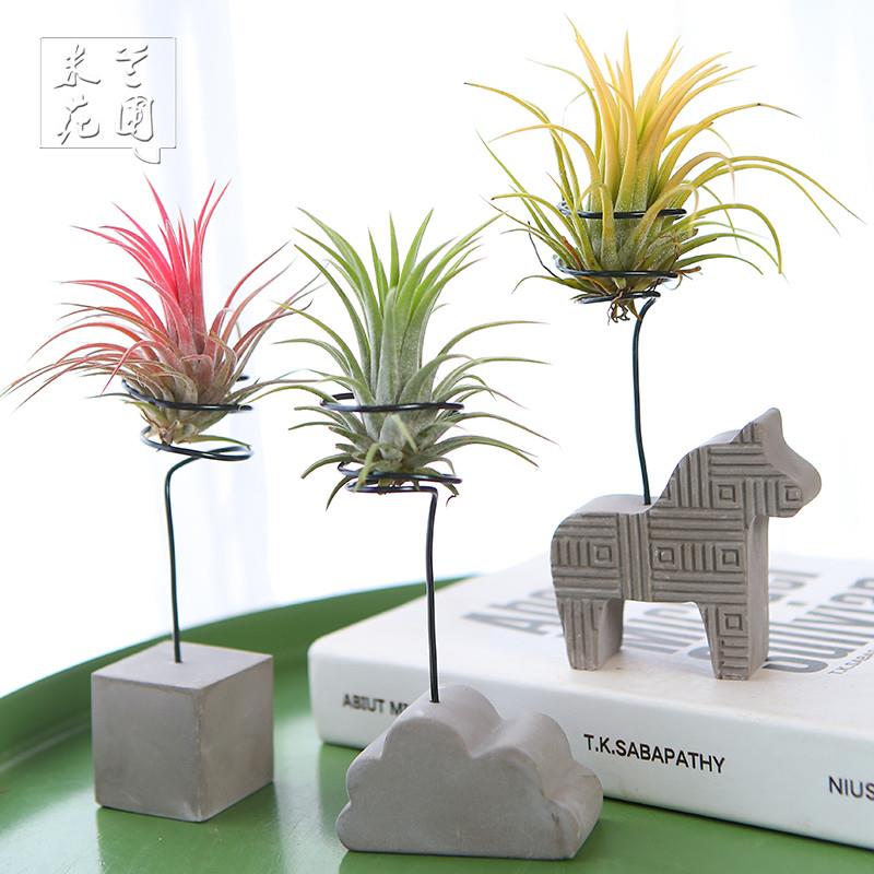 空气凤梨植物花水泥花盆创意支架花架配饰底座多款