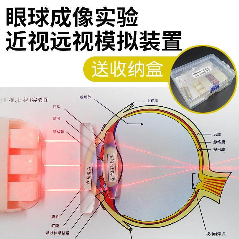 眼球成像实验模型近视远视模拟演示器近视眼形成纠正光学透镜器材