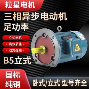 5.5 7.5千瓦KW380V国标变频 1.1 纯铜三相异步电动机立式 2.2