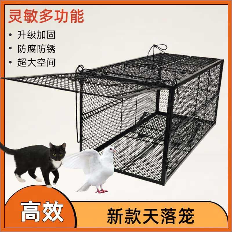 抓猫器笼全自动捕猫笼鸽子天落笼抓猫踏板捉猫笼流浪救助笼
