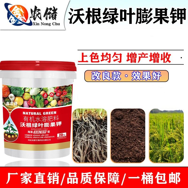 沃根绿叶钾生根壮苗水溶肥料高钾蔬菜膨果氨基酸土壤植物增产无毒