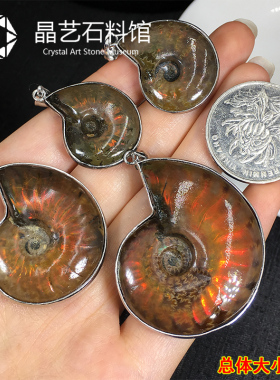 李居明推荐斑彩螺古生物化石包边吊坠毛衣链项链儿童教学科普化石