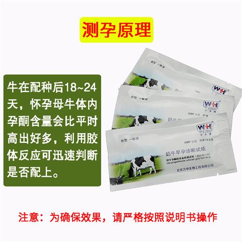 母牛测孕纸牛用怀孕试纸养殖场畜牧兽用验孕棒奶牛测孕测试纸诊断
