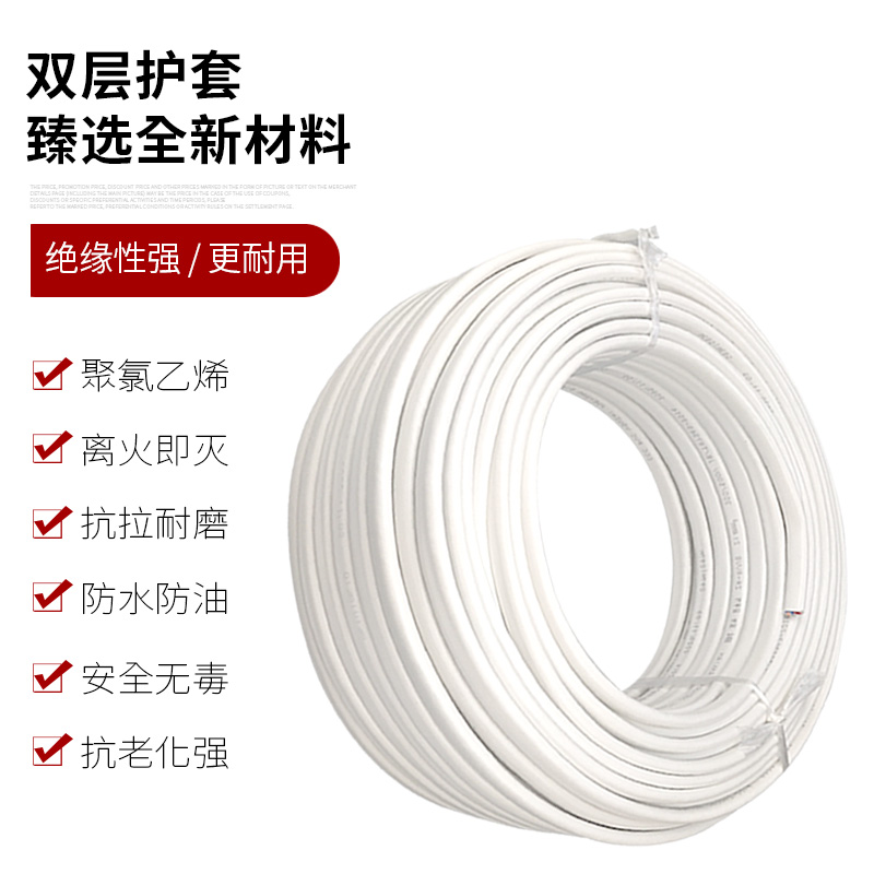 2芯电线软线国标2.5 4 6平方护套线防冻防水电缆线家用双股电源线