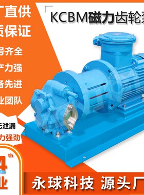 定制KCBM磁力齿轮泵稳定高效化工输送泵无泄漏输送磁力泵齿轮泵