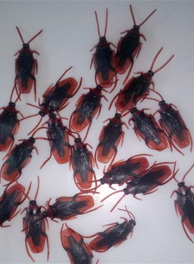 Halloween Simulation Cockroach April Fools Day Fake Cockroa
