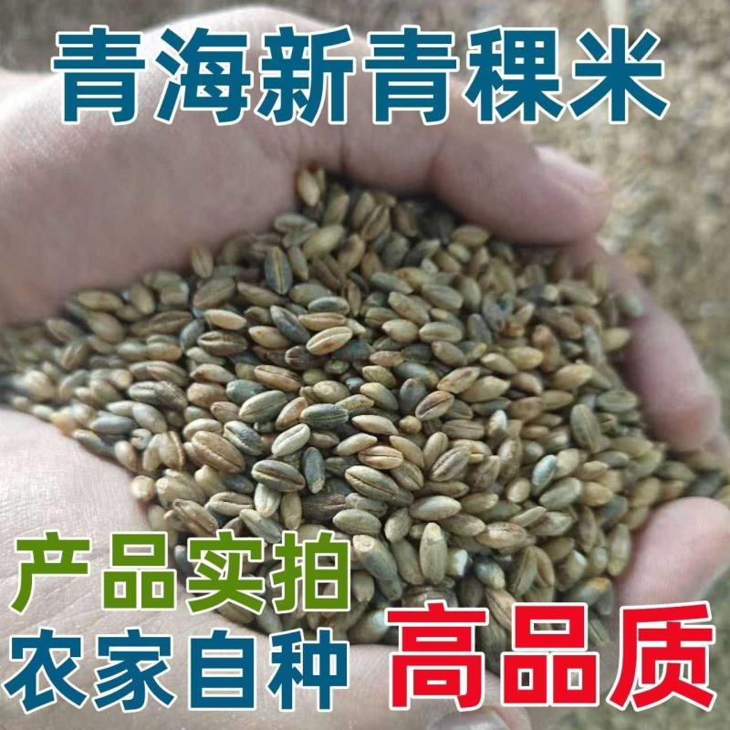 【优质杂粮】正宗青海蓝青稞米新米藏区直发当季新米杂粮辅食批发
