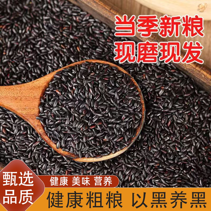 新米东北农家新黑米有机无染色无防腐剂黑大米黑米粥农家健康粗粮