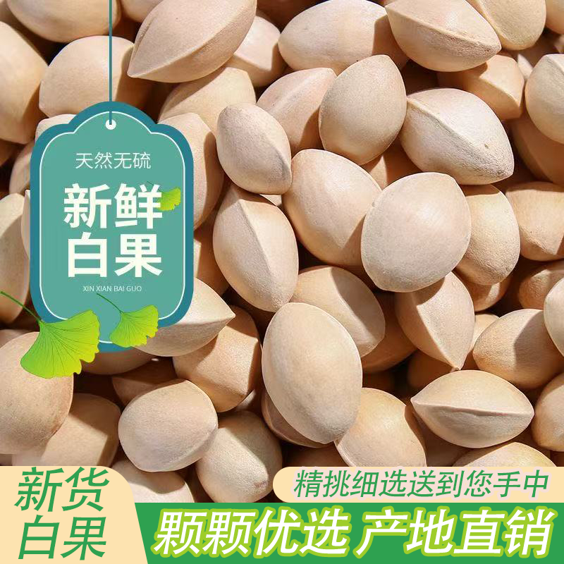 当季新货精选银杏果当季生白果带壳大果营养健康颗颗优选产地直销