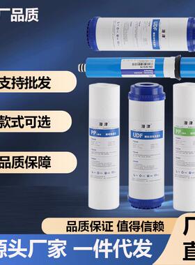 适施特劳斯净水器HNF-300M5(HL配)/P1/M1/滤CUPA1/Q7/Q8通用芯S10