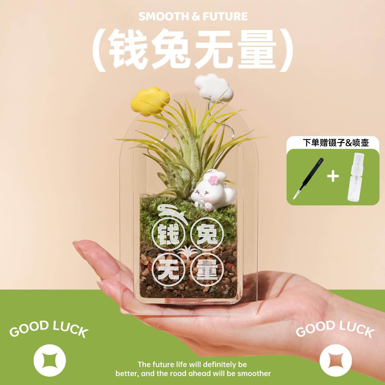 失控绿氧“钱兔无量”空气凤梨趣味摆件室内桌面绿植手工礼盒