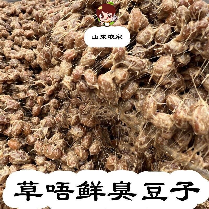 速发臭豆子拉丝臭盐豆子手工临沂鲜臭酱豆农家山东自制草捂纳豆包