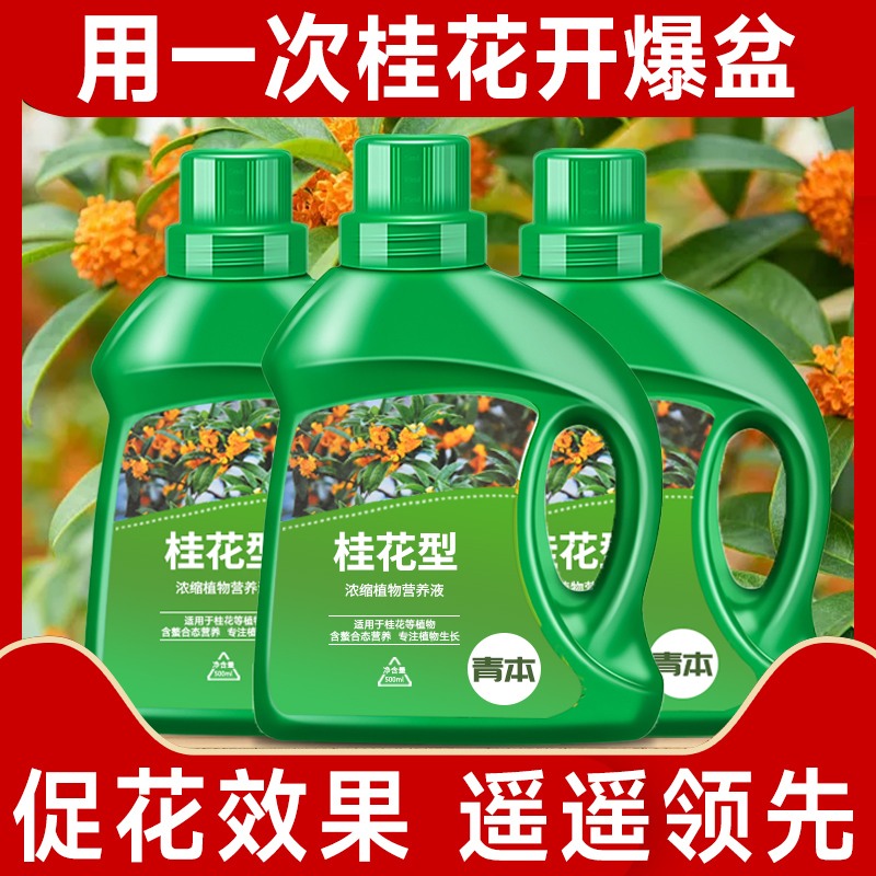 桂花树肥料专用肥植物营养液通用型促花花卉浓缩四季桂金桂银桂树