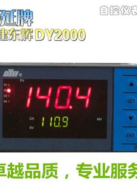 东辉仪表B系列 DY29B02 DY29B00P DY29B06P DY21B00P DY21B06P4M