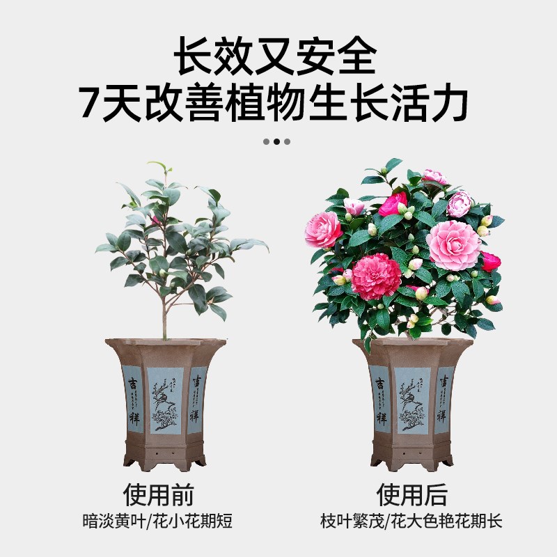 茶花专用肥缓释颗粒肥复合肥家用促花开花植物盆栽绿植花卉养花肥
