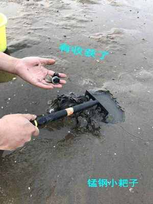 极速赶海工具抓螃蟹赶海工具沙滩挖蛤蜊蚬子挖螺小铁锹小铲子海耙