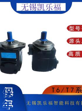 压铸机高压叶片泵T6D-045-3R01 注塑机油泵T6D-042-1R00-B5