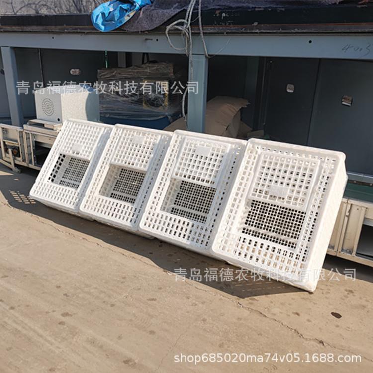 成鸡鸭鹅运输笼 特大号加厚长方形鸡笼子家禽用 拉鸡笼方形鸡筐