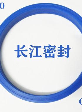 ni300 77-87-12 德国 SIMRTI油封CFW M MFF XN39125 N