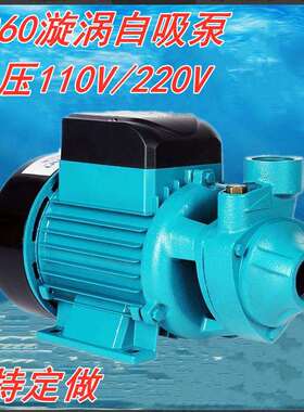 QB60漩涡自吸清水泵高扬程220v110v家用小型水井抽水自吸泵