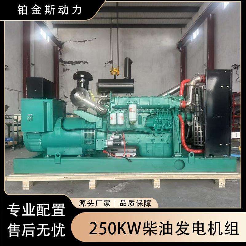 250千瓦柴油发电机组 P10柴油机配备四保护常用电源 出口非洲中东