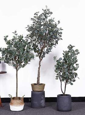 北欧风格仿真金钱树尤加利假树大型绿植盆栽室内客厅装饰摆件橱窗