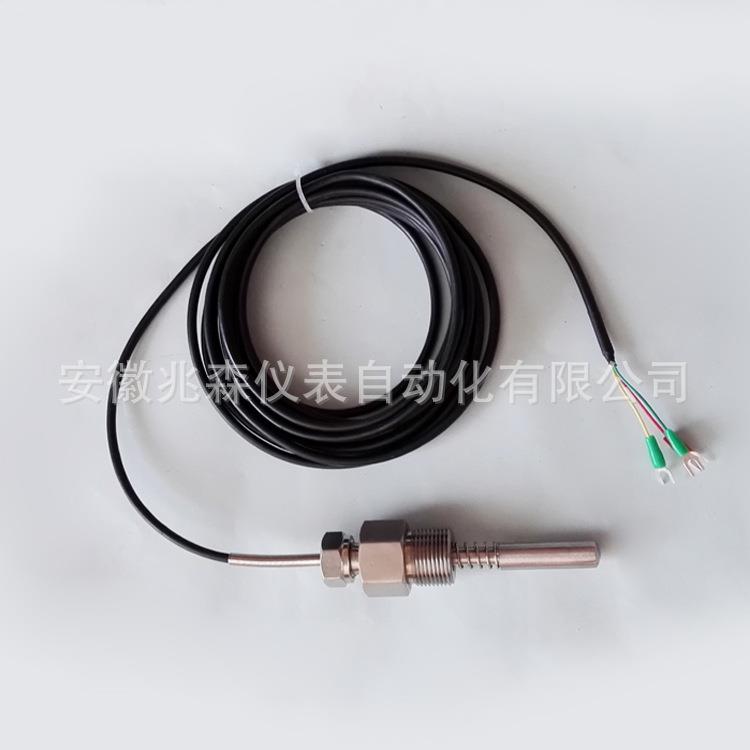 压紧式热电阻 端面式铂热电阻 WZP-200T PT100 温度传感器